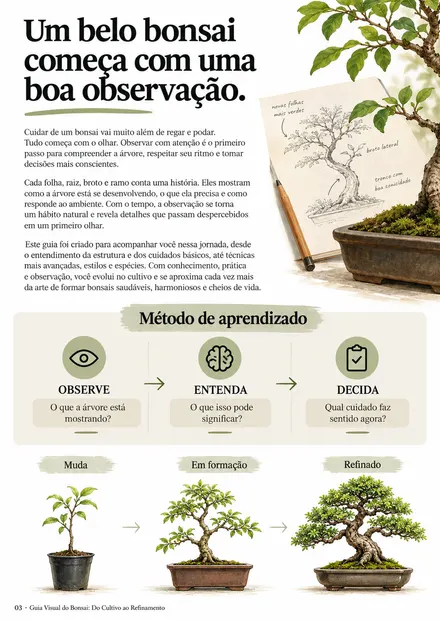 Página do guia: Método de aprendizado: observe, entenda, decida